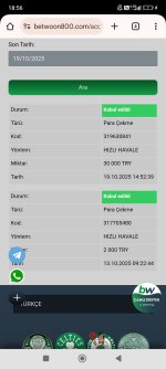 Screenshot_2025-10-19-18-56-39-154_com.android.chrome.jpg