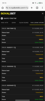 Screenshot_20251022-041618.png