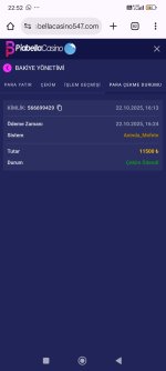 Screenshot_2025-10-22-22-52-13-133_com.android.chrome.jpg