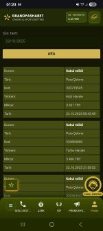 Screenshot_20251023_012324_Chrome.jpg