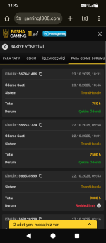 Screenshot_20251024-114216.png