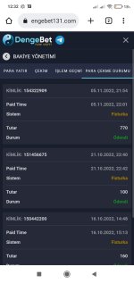 Screenshot_2022-11-06-12-33-00-323_com.android.chrome.jpg