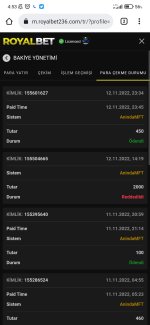Screenshot_2022-11-13-04-53-41-710_com.android.chrome.jpg