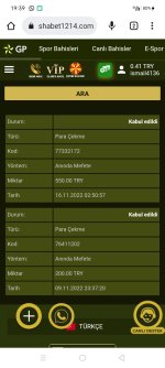 Screenshot_2022-11-16-19-39-24-21.jpg