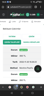 Screenshot_20221120-182312.png