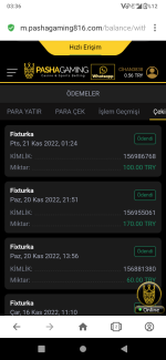 Screenshot_20221121-033647.png