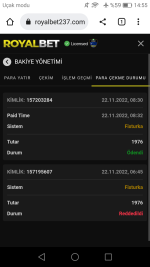 Screenshot_2022-11-22-14-55-43.png