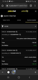 Screenshot_20221215-111642_Chrome.jpg
