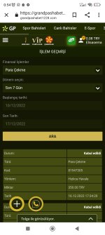 Screenshot_2022-12-17-00-54-58-966_com.android.chrome.jpg