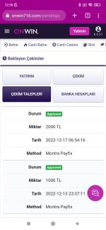 Screenshot_2022-12-17-12-59-28-354_com.android.chrome.jpg