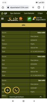 Screenshot_2022-12-22-21-53-39-660_com.android.chrome.jpg
