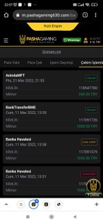 Screenshot_2022-03-21-22-57-47-159_com.android.chrome.jpg