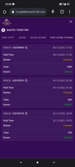 Screenshot_2022-12-28-18-08-13-216_com.android.chrome.jpg