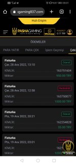 Screenshot_20221229_000130_com.android.chrome.jpg