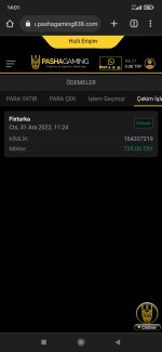 Screenshot_2022-12-31-14-01-00-543_com.android.chrome.jpg