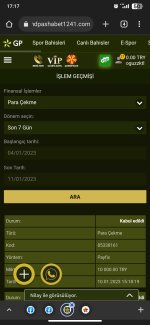Screenshot_2023-01-11-17-17-28-783_com.android.chrome.jpg
