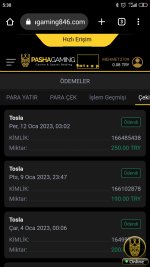 Screenshot_2023-01-12-05-30-19-436_com.android.chrome.jpg
