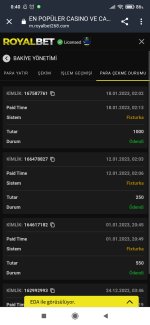 Screenshot_2023-01-19-00-40-06-080_com.android.chrome.jpg