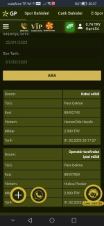 Screenshot_20230201_205727_com.android.chrome.jpg