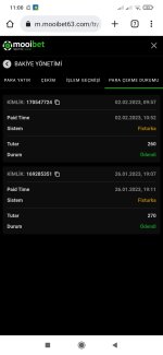 Screenshot_2023-02-02-11-00-08-464_com.android.chrome.jpg