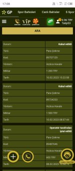 Screenshot_20230210-170822.jpg