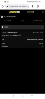 Screenshot_20230307_014642_com.android.chrome.jpg