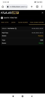 Screenshot_2023-06-04-13-10-15-059_com.android.chrome.jpg