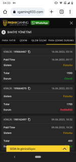 Screenshot_20230616-043326.png