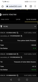 Screenshot_20230713_155253_com.android.chrome.jpg