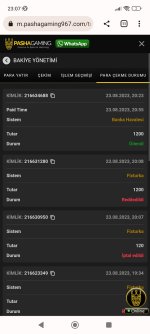 Screenshot_2023-08-23-23-07-56-958_com.android.chrome.jpg