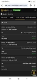 Screenshot_2023-08-30-13-25-22-802_com.android.chrome.jpg
