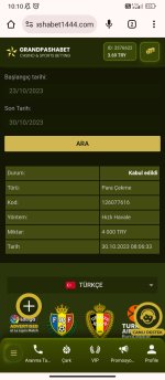 Screenshot_2023-10-30-10-10-02-690_com.android.chrome.jpg