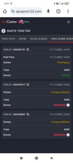 Screenshot_2023-11-12-01-11-31-900_com.android.chrome.jpg
