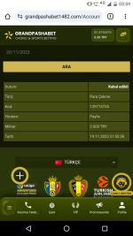 Screenshot_20231120-035943.png