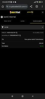 Screenshot_2023-12-12-23-44-30-056_com.android.chrome.jpg