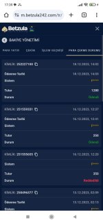 Screenshot_2023-12-18-17-39-04-182_com.android.chrome.jpg