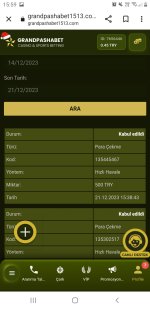 Screenshot_20231221-155933_Chrome.jpg