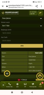 Screenshot_2024-01-25-04-55-06-806_com.android.chrome.jpg