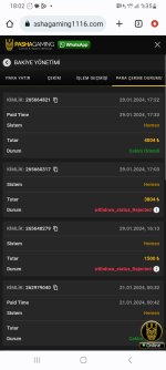 Screenshot_20240129_180217_Chrome.jpg